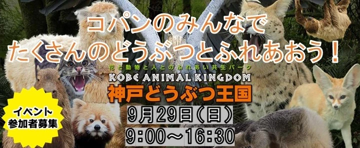 秋の遠足　たくさんの動物と触れ合おう神戸どうぶつ王国！！